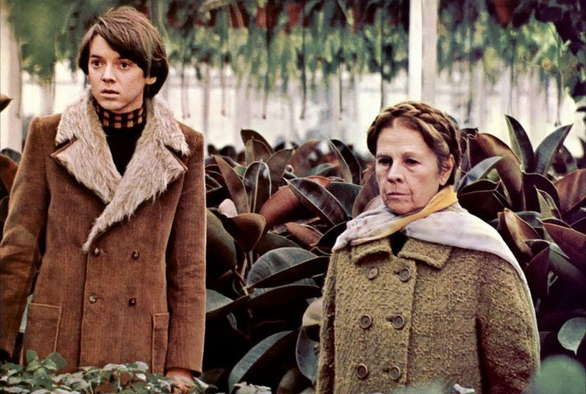 harold-and-maude-1971