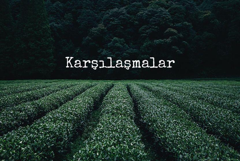 Dur Durak Bilerek… 
