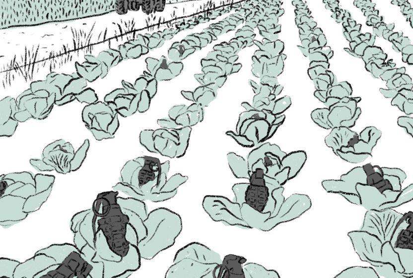 Çitlerle çevrili tarla: Filistin’de gıda sorunu