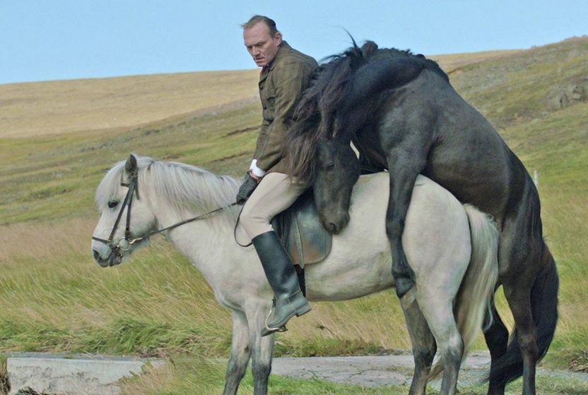 Of Horses and Men, 2010