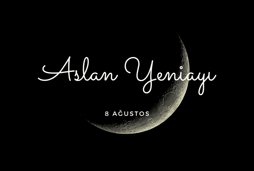 8-agustos-aslan-yeniayi