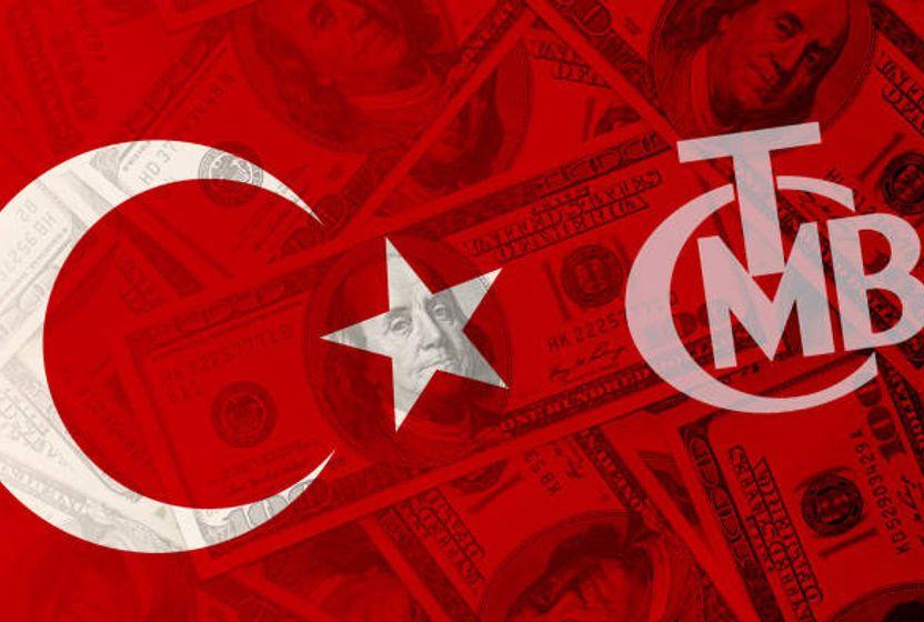 TCMB dövize neden ve nasıl müdahale ediyor?
