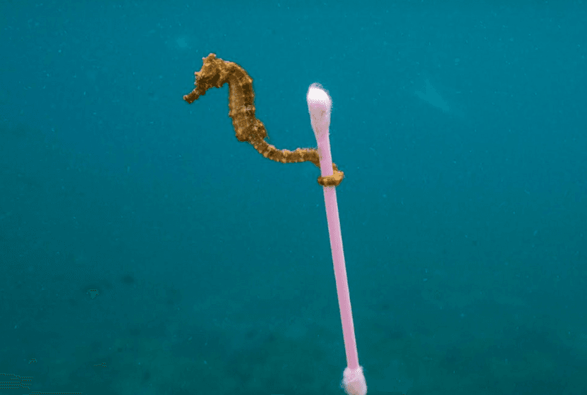 Ne Olacak Bu Plastik Kirlilik?