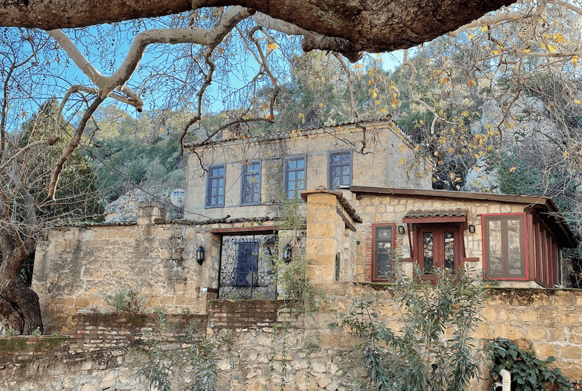 Sessizliğin İçinden