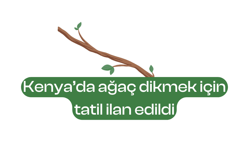 Kenya’da ağaç dikmek için tatil günü ilan edildi