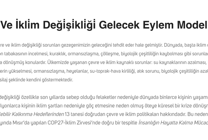 Eylem planı neler içeriyor?