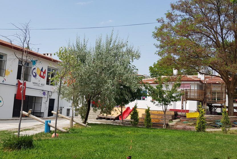Ankara'da Başka Bir Okul Mümkün: Meraklı Kedi İlkokulu