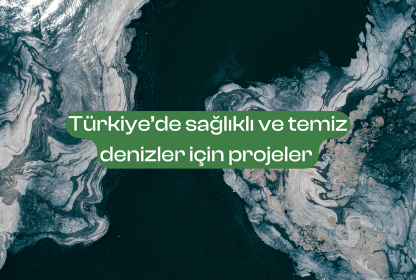 turkiyede-saglikli-ve-temiz-denizler-icin-projeler