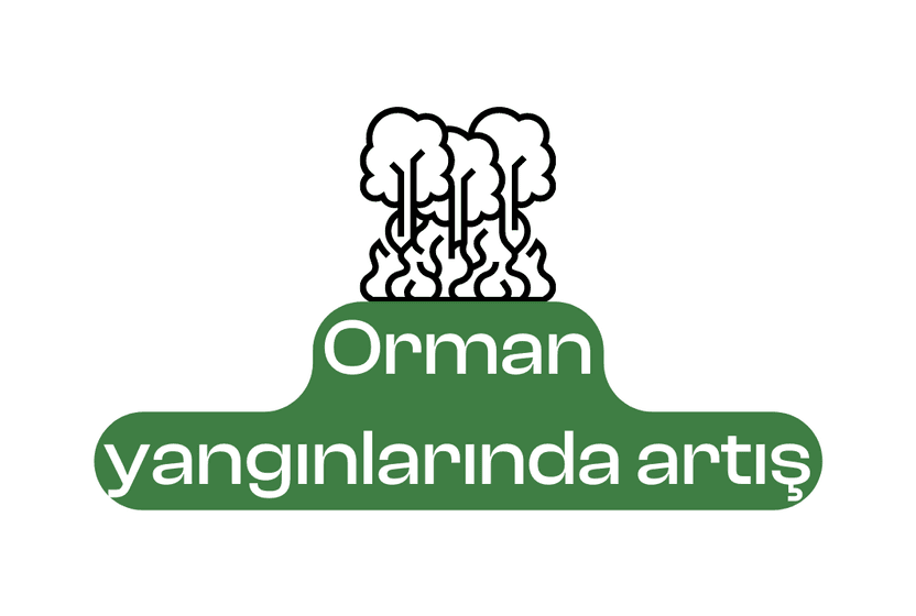 Orman yangınlarında artış
