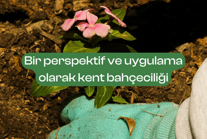 bir-perspektif-ve-uygulama-olarak-kent-bahceciligi