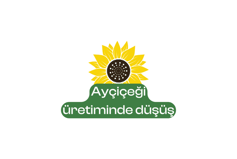 aycicegi-uretiminde-dusus