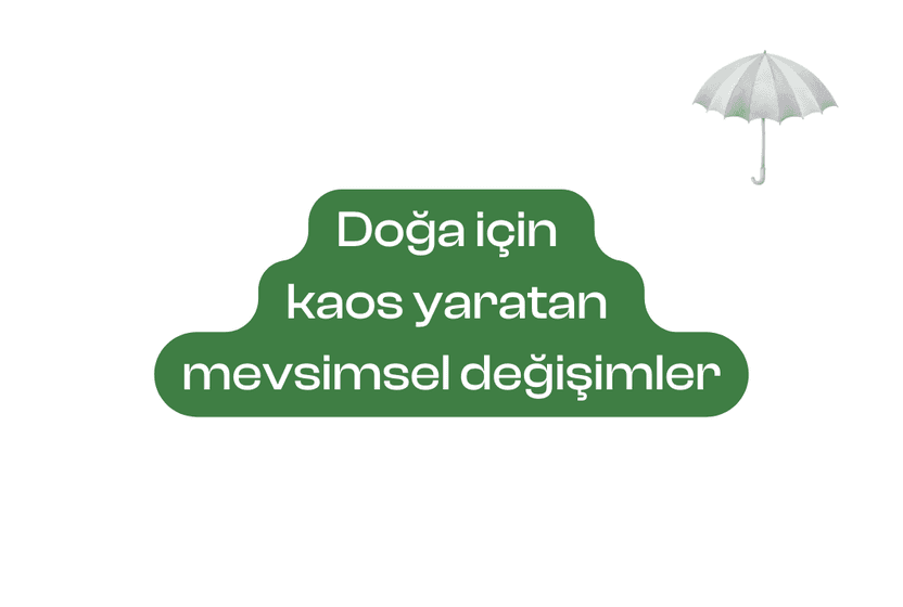 Doğa için kaos yaratan mevsimsel değişimler