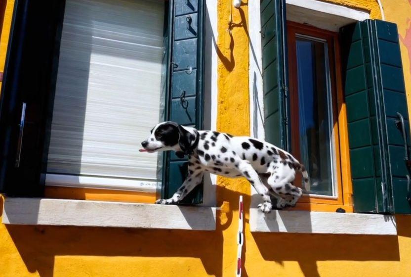 Yapay zeka fiziksel gerçekliği ne kadar anlıyor? 