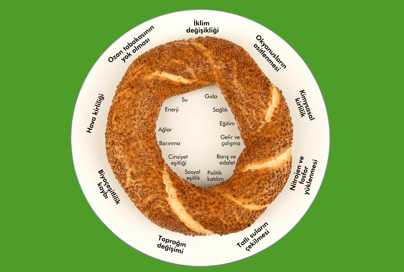 buyume-olmadan-refah-mumkun-mu-simit-ekonomisi-nedir