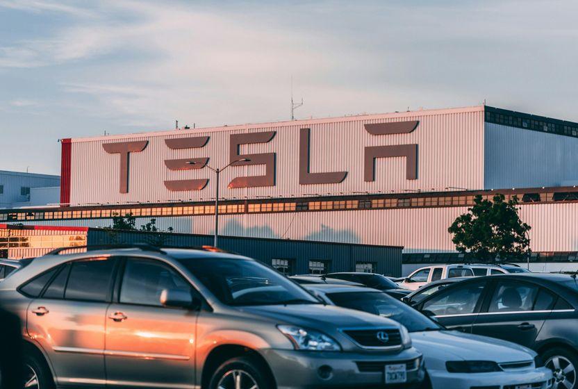 Tesla'nın Berlin fabrikası için yarım milyon ağaç kesildi