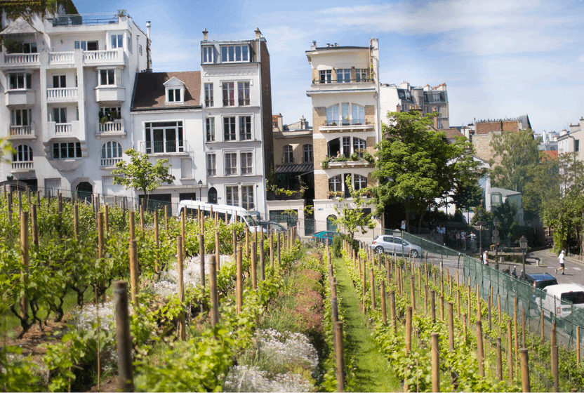 montmartrein-gizli-uzum-bagi-clos-montmartre