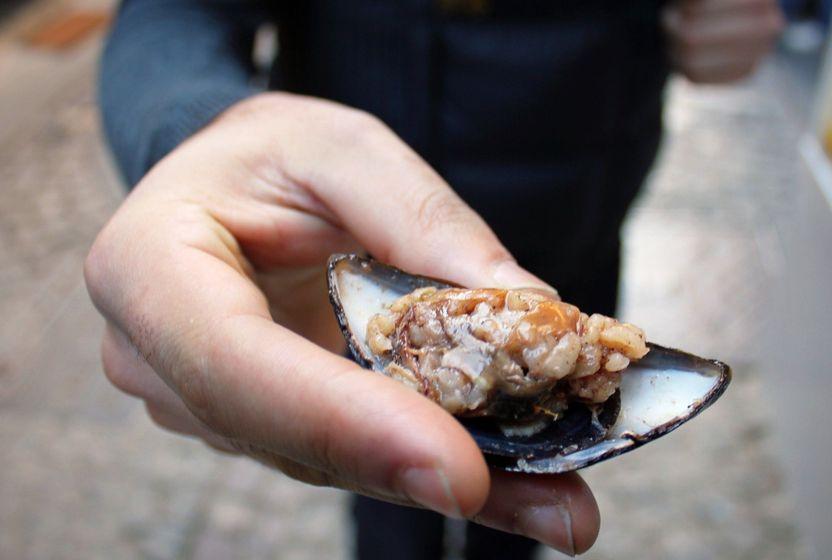 turkiyenin-gida-guvenligi-sorunu-gida-zehirlenmeleri-artiyor-mu