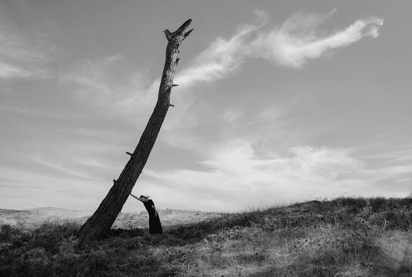 agaclarla-kurulan-bir-dostlugun-hikayesi-murathan-ozbekin