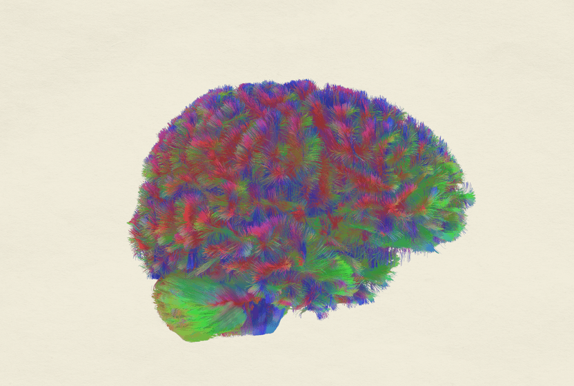 norobilimsel-bir-zaman-haritasi-ergenlik-ve-yaslilikta