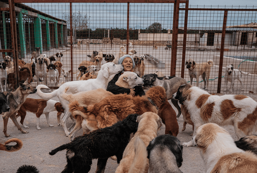 hayir-dualari-ile-beddualar-arasinda-kendi-barinagini-kuranlar