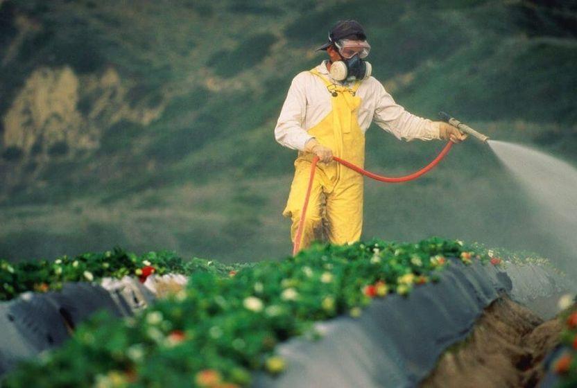 bir-gida-hakki-davasinin-anatomisi-greenpeacein-zehir-etme