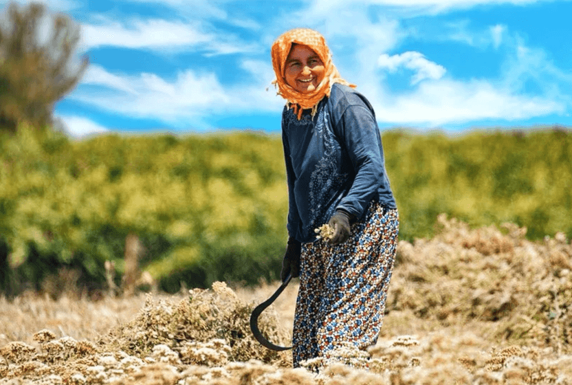 mirasta-anlasmali-paylasim-donemi-kadin-orgutleri-duzenlemeyi