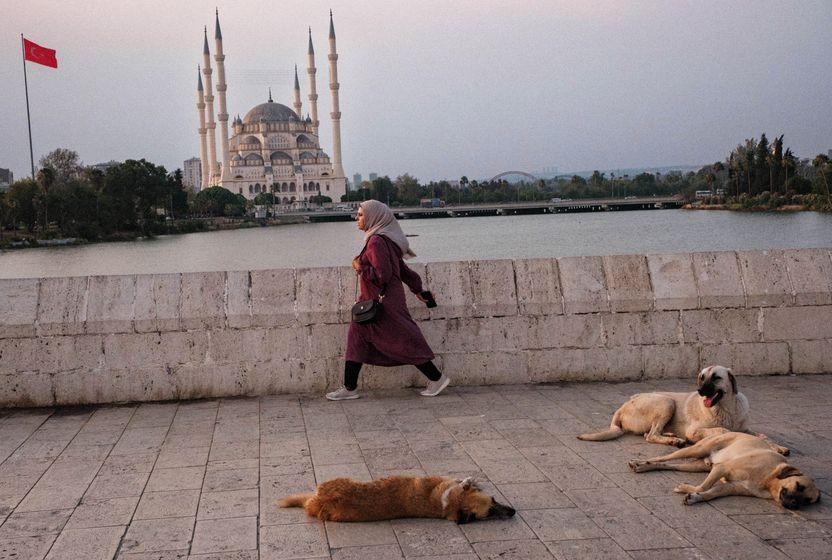 yuzdugu-icin-oldurulen-ares-ve-turkiyenin-barinak-gercegi
