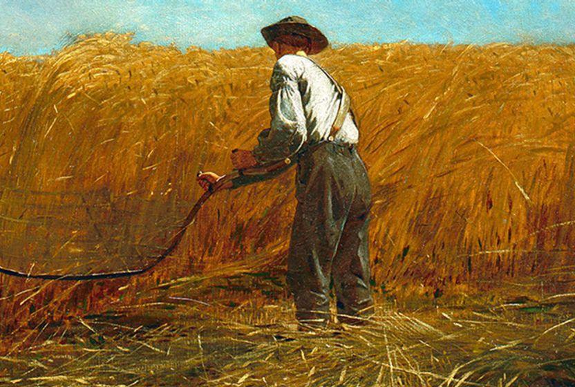 luks-gidanin-siyaseti