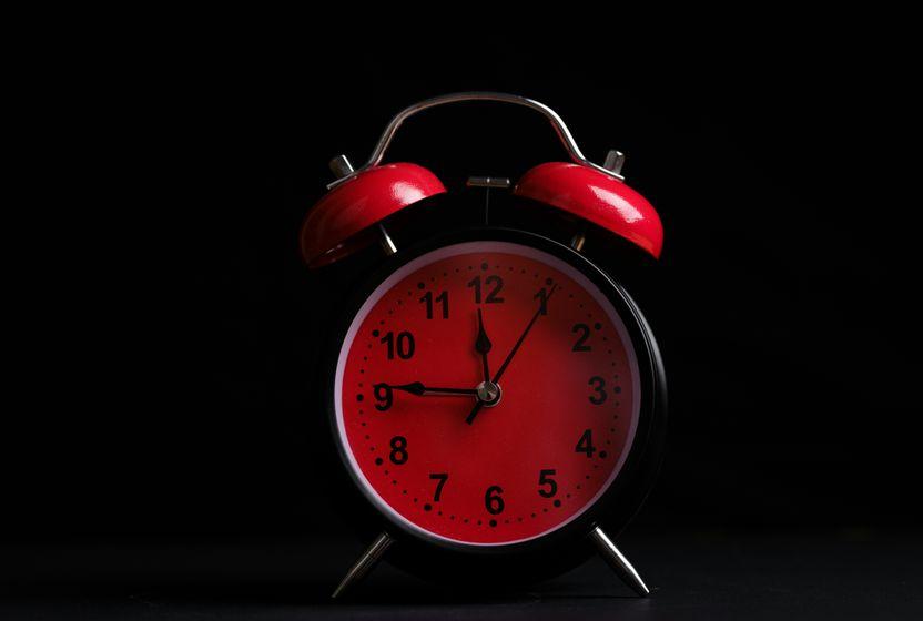 300-bin-yillik-sirkadyen-saat