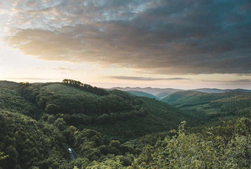 unlearners-gelecege-meydan-okuyanlarin-toplulugu