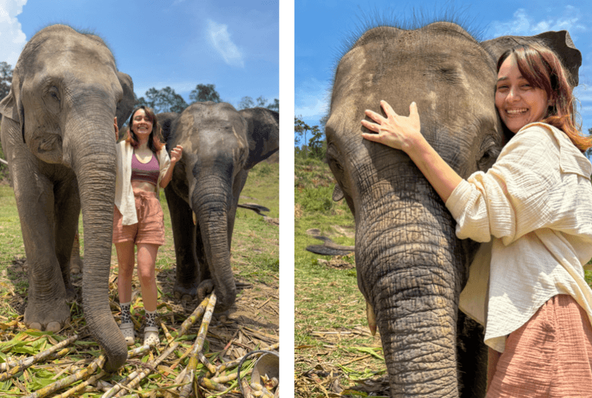 baska-bir-tayland-deneyimi-30-yasindan-sonra-fil-bakicisi-olmak