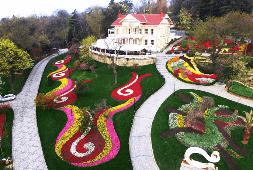 kir-ciceginden-kultur-cicegine-istanbul-kent-yasaminda-lalenin