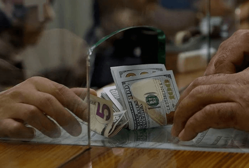 ugur-gurses-turkiyedeki-doviz-talebini-siyasetciler