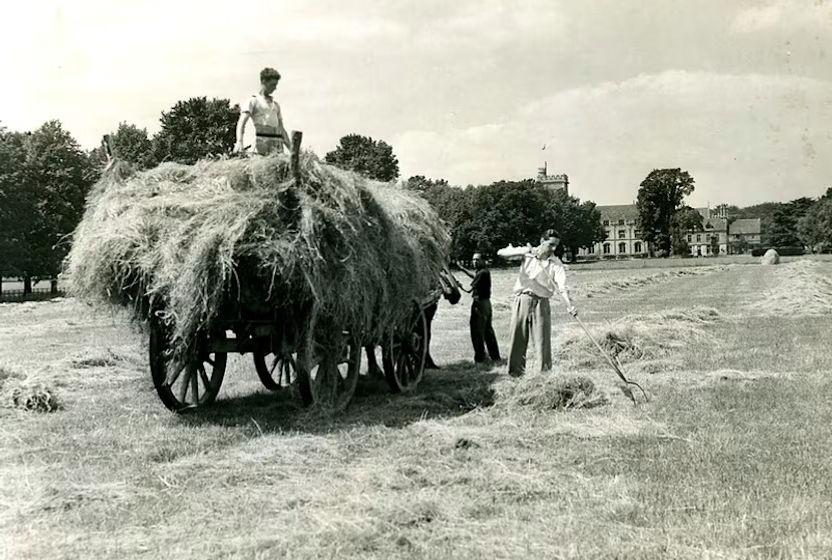 gidanin-sanayilesmesi-tarim-ne-zaman-zanaat-olmaktan-cikti