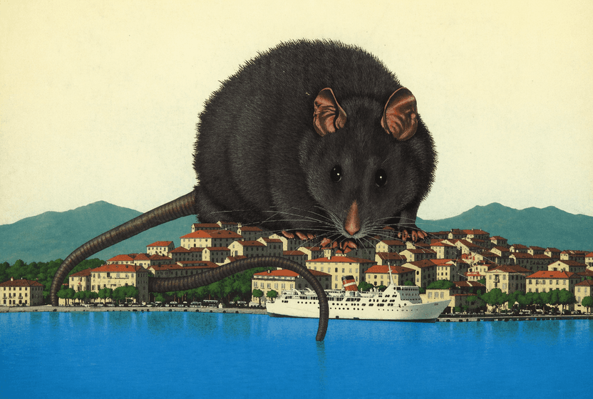 bibliyoterapide-bu-hafta-her-seye-ragmen-devam-etme-gucu