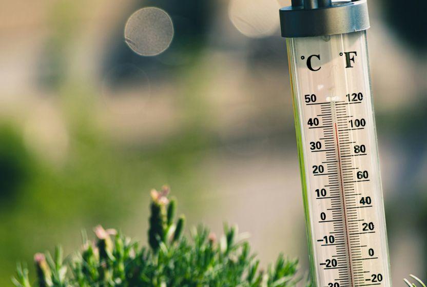 Islak Termometre Sıcaklığı Nedir?