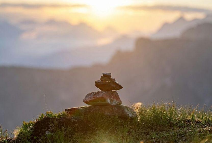 Zen ve Gezegeni Kurtarma Sanatı