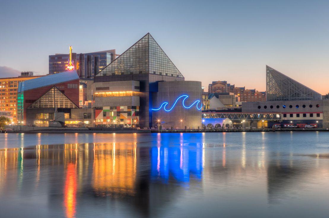 Baltimore National Aquarium, Fotoğraf: Clarence Holmes