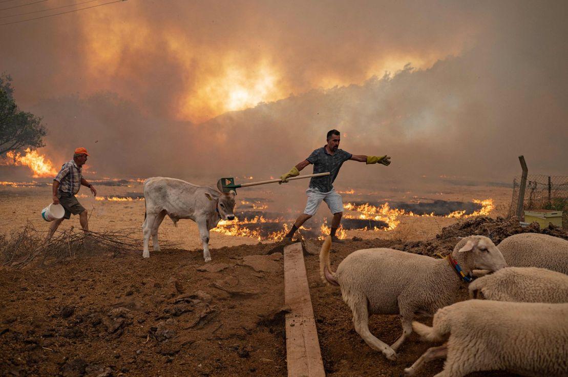 AFP Photo