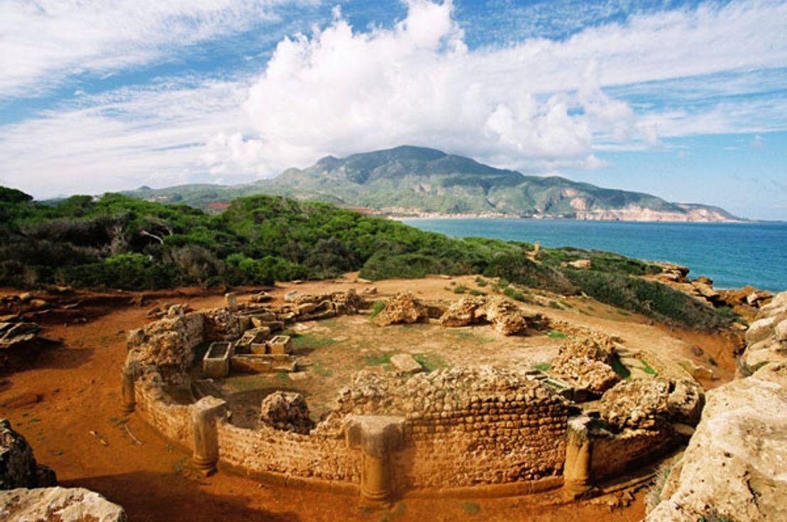 Tipaza Kenti