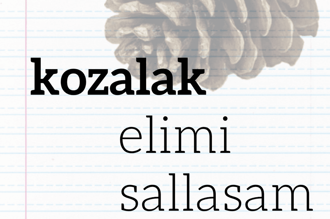 Kozalak