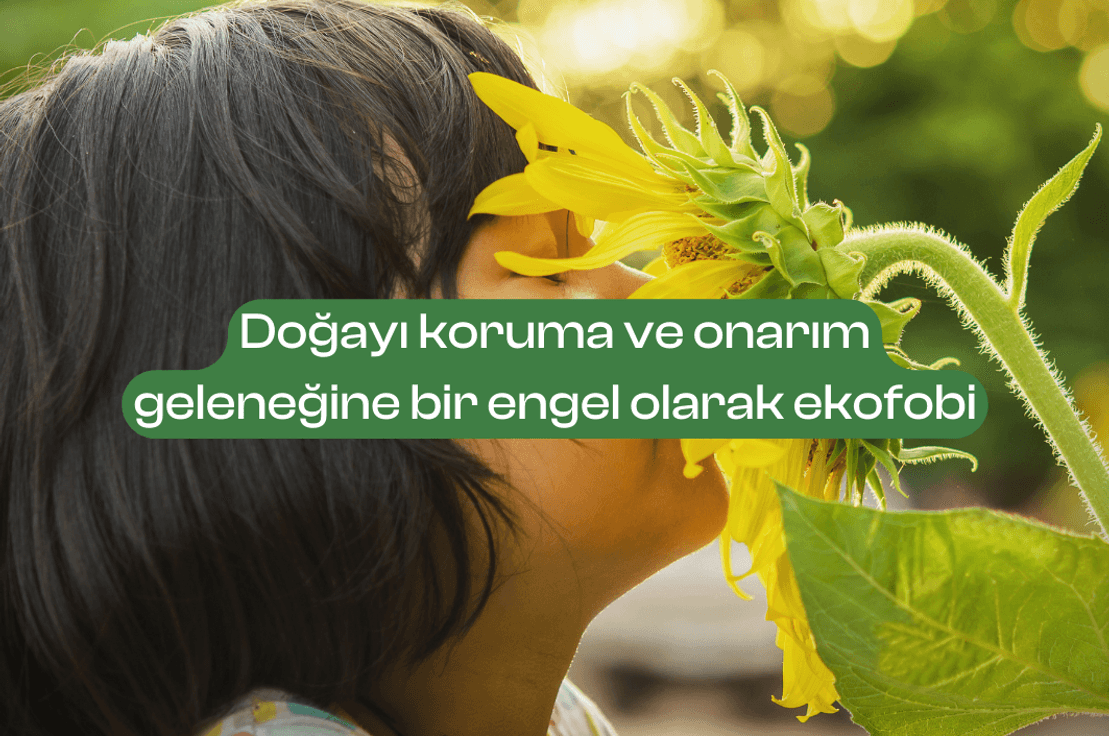 Fotoğraf: Canva Pro