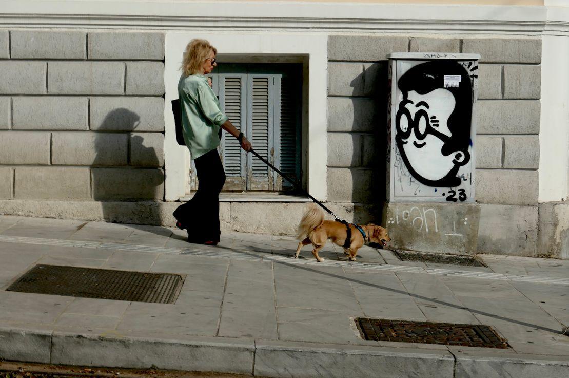 Fotoğraf: Elif Bayram