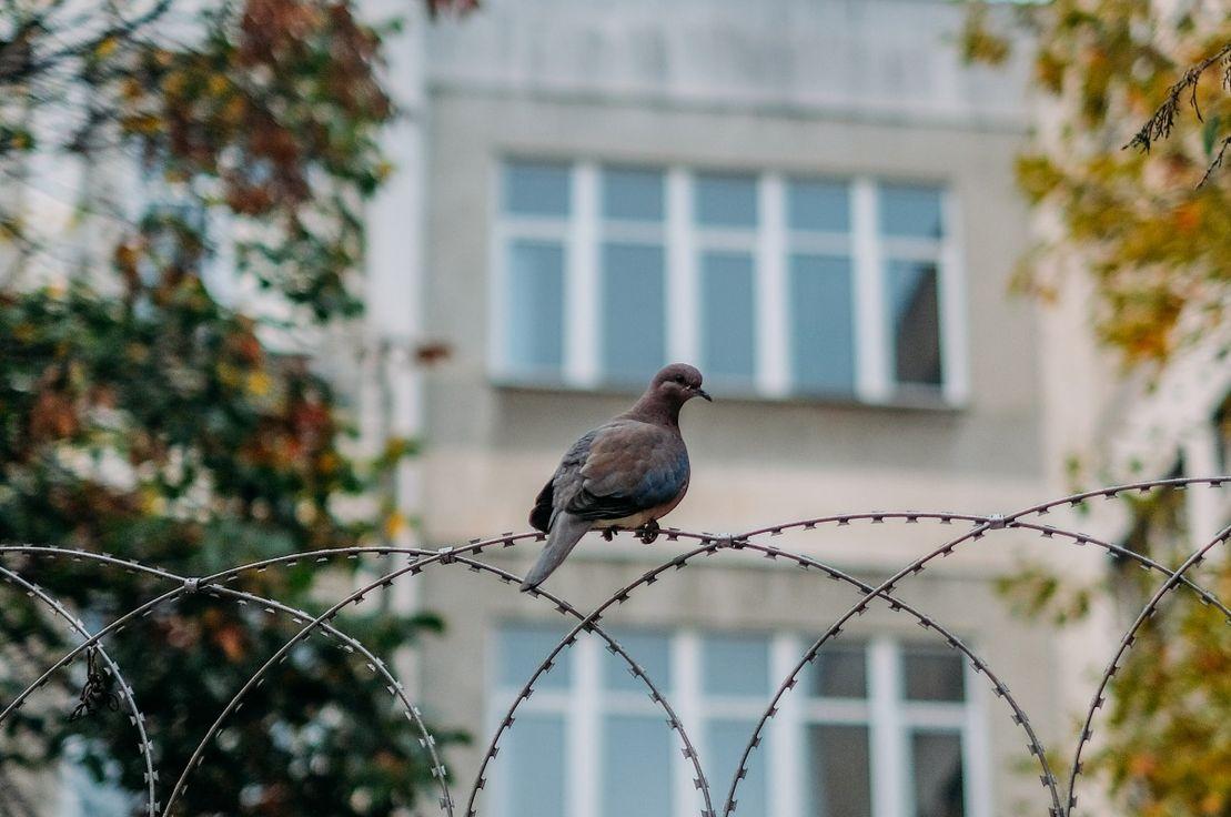 Fotoğraf: Deniz Sabuncu