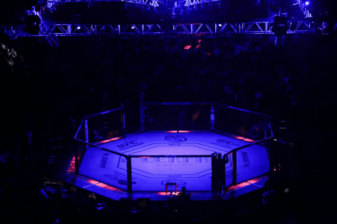 🥊 Vegas Octagon