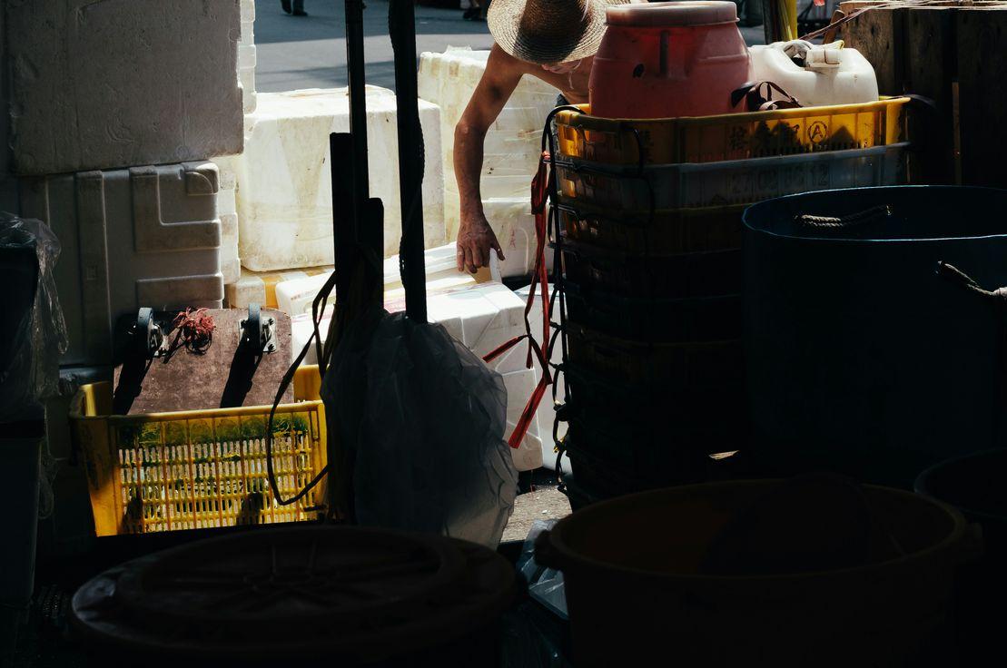 Fotoğraf: David Clarke