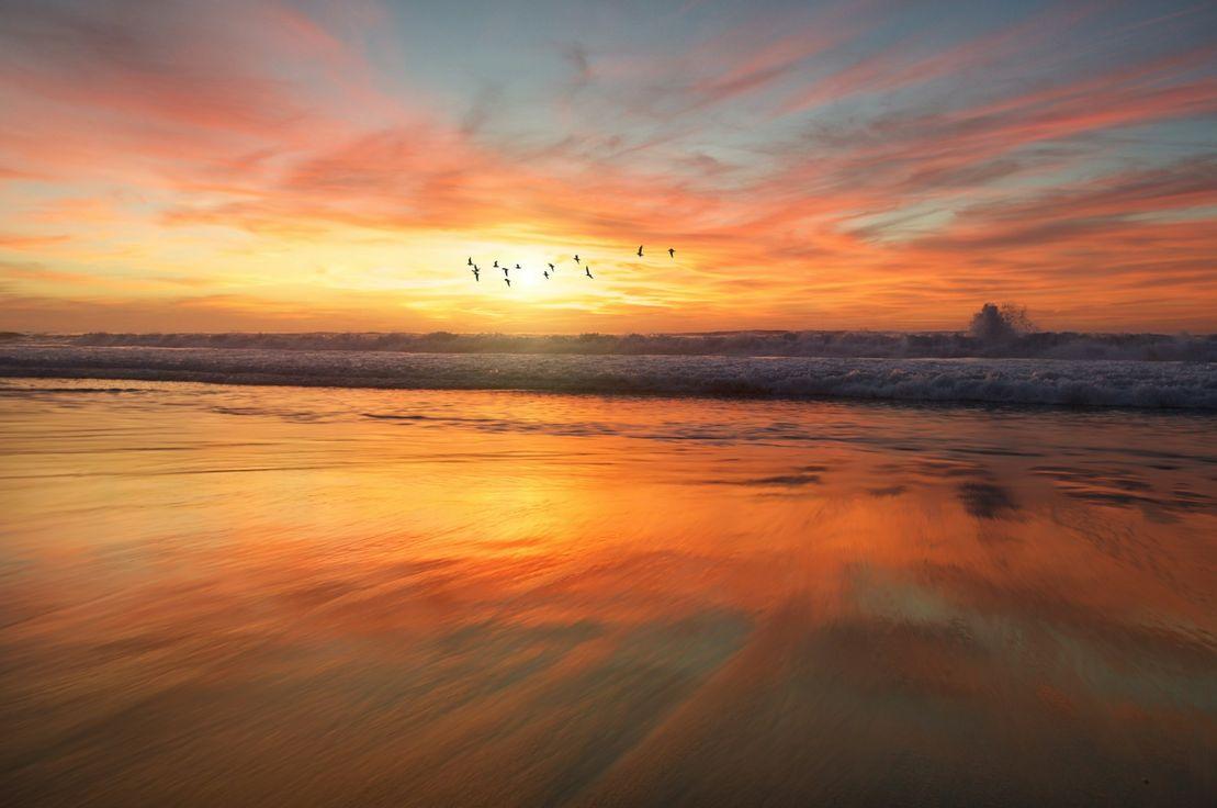 frank mckenna, Unsplash