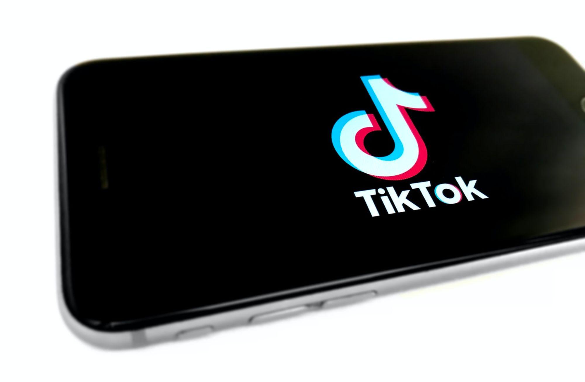 Bir TikTok yılı