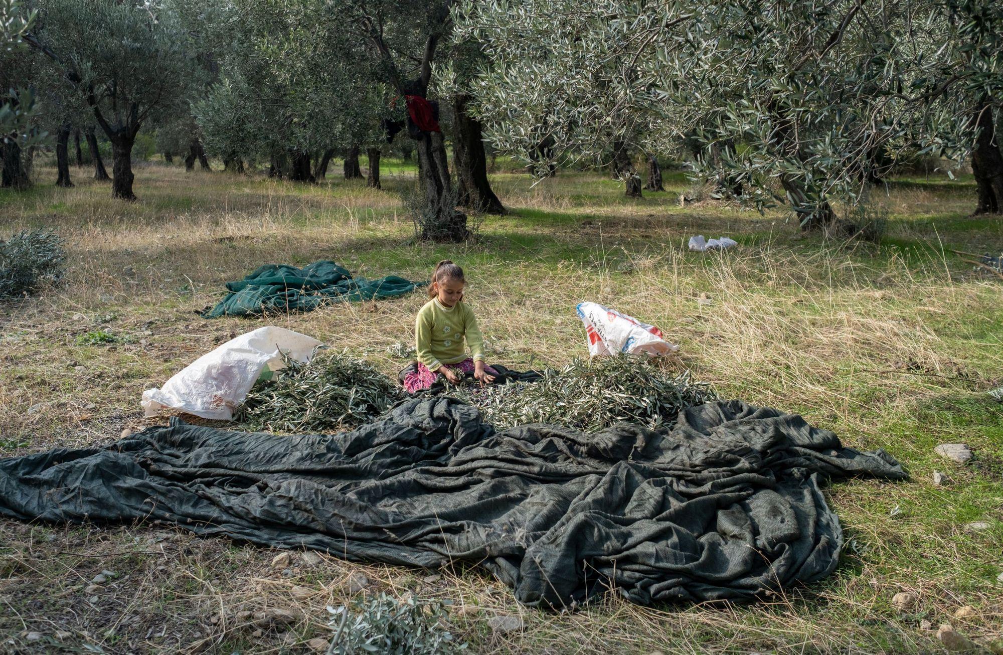 3573 sayılı kanun