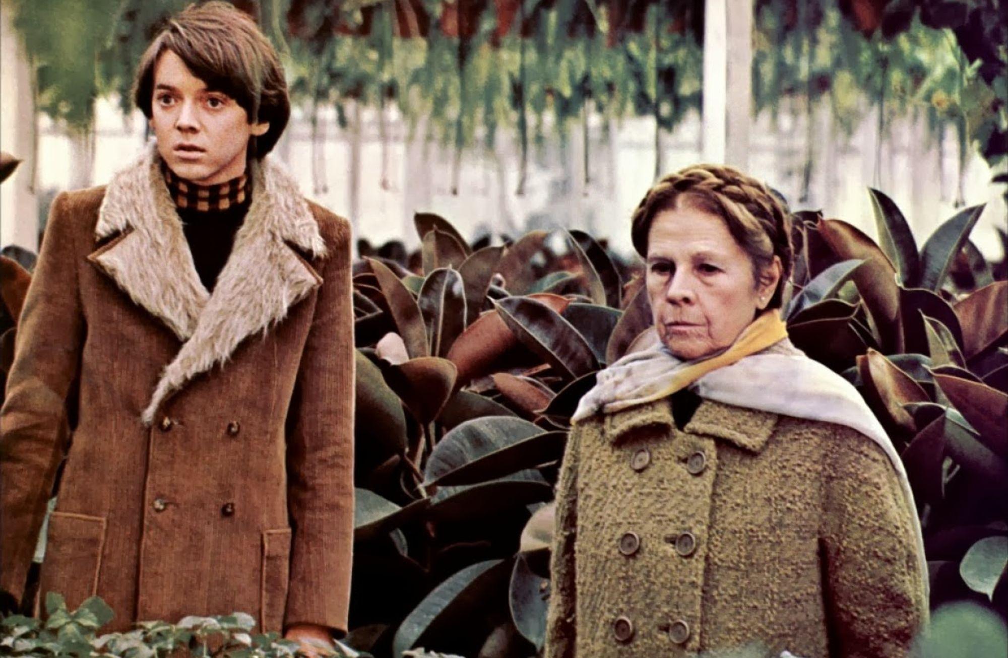 Harold and Maude, 1971